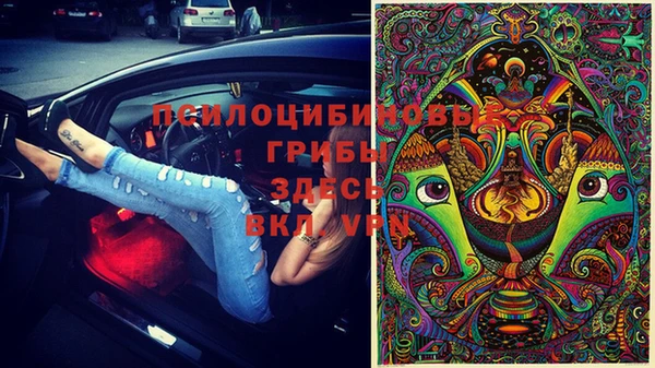 прущая мука Богородск