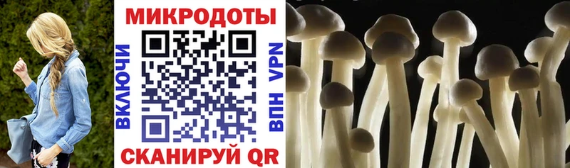blacksprut tor  Бугуруслан  Псилоцибиновые грибы мухоморы  цена наркотик 